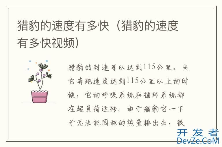 猎豹的速度有多快（猎豹的速度有多快视频）