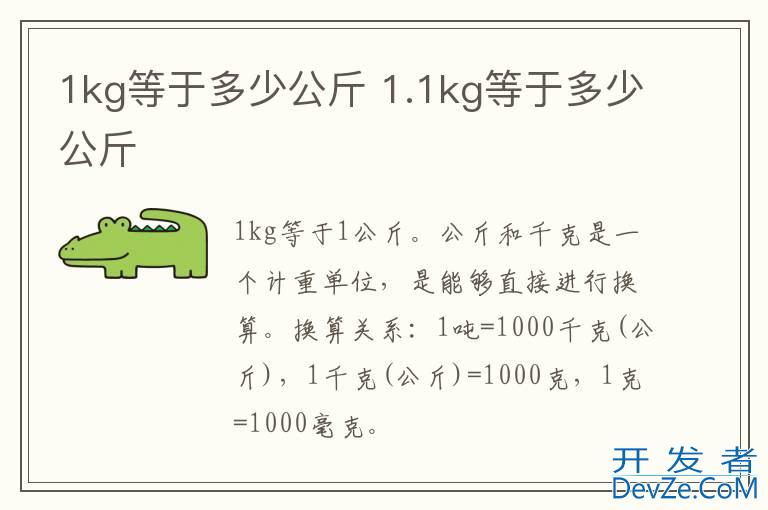 1kg等于多少公斤 1.1kg等于多少公斤