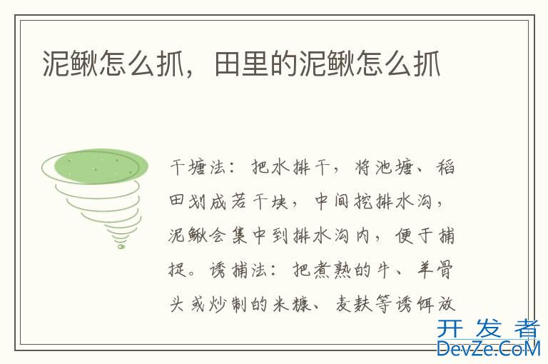 泥鳅怎么抓，田里的泥鳅怎么抓