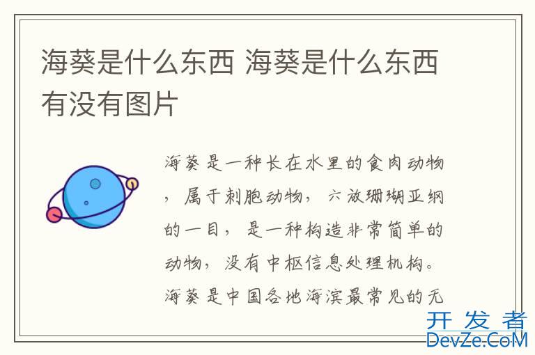 海葵是什么东西 海葵是什么东西有没有图片