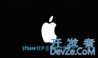 iPhone12如何开启声音识别 iPhone12开启声音识别步骤和作用