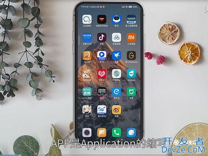 手机app是什么意思 手机app的解释