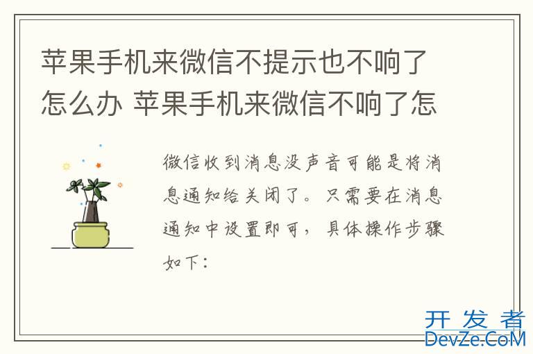 苹果手机来微信不提示也不响了怎么办 苹果手机来微信不响了怎么回事