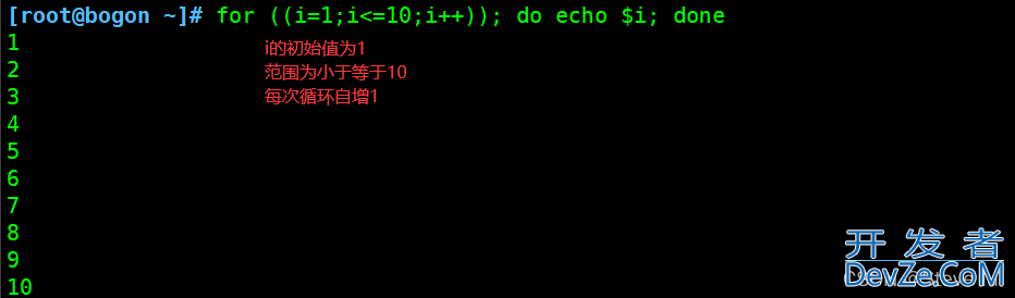 shell编程中for循环语句的实现过程及案例