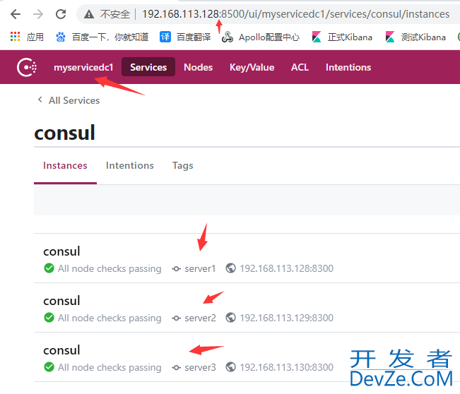 Linux环境下部署Consul集群