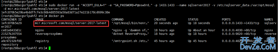 Linux系统通过Docker安装SQL Server数据库