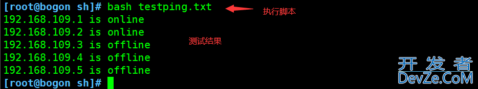 shell编程中for循环语句的实现过程及案例