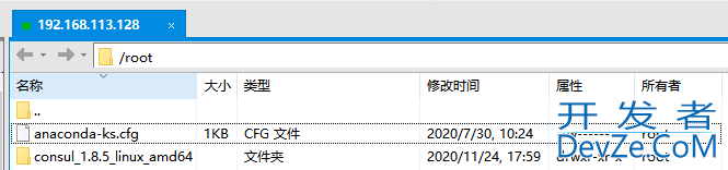 Linux环境下部署Consul集群