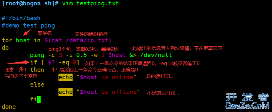 shell编程中for循环语句的实现过程及案例