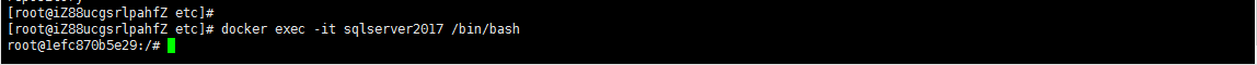 Linux系统通过Docker安装SQL Server数据库