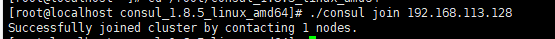 Linux环境下部署Consul集群