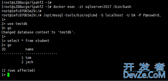 Linux系统通过Docker安装SQL Server数据库