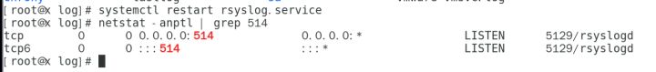 Linux中一对多配置日志服务器的详细步骤