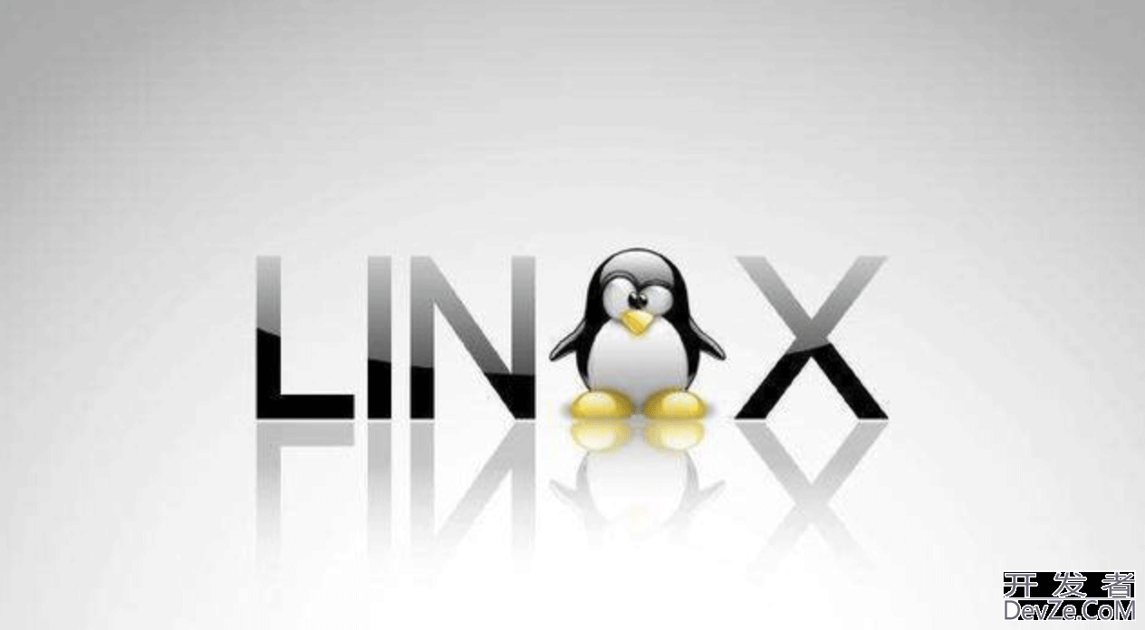 Linux常用高频命令