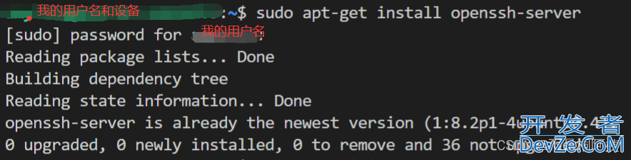 Xshell7远程连接失败(connection failed)的问题解决