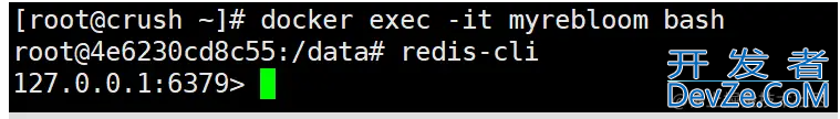 Redis 布隆过滤器命令的使用详解