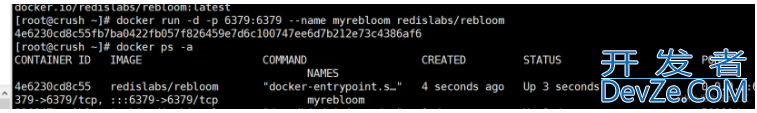 Redis 布隆过滤器命令的使用详解