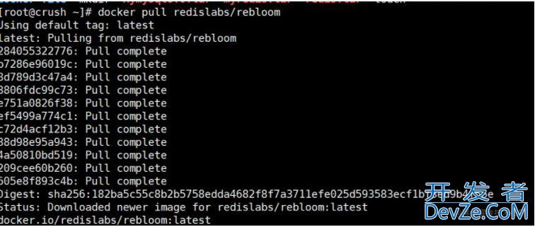 Redis 布隆过滤器命令的使用详解