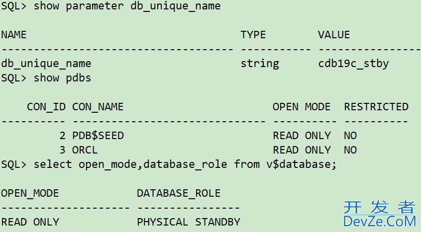 DBCA命令行搭建Oracle ADG的流程