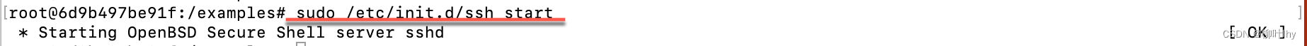 pycharm使用docker容器开发的详细教程