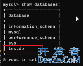 Python实现MySql数据库交互的示例
