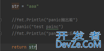 go defer return panic 执行顺序示例详解