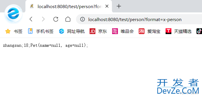 SpringBoot自定义MessageConvert详细讲解