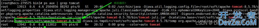 在Linux上搭建一个Java部署环境的详细步骤