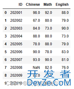 pandas检查和填充缺失值的N种方法总结