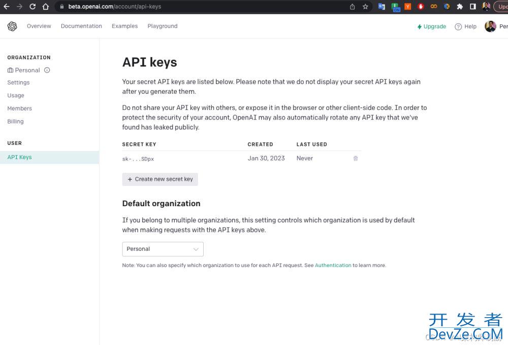 Python代码连接到 Chat GPT API的方法