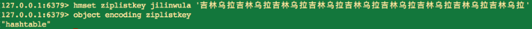 Redis的9种数据类型用法解读