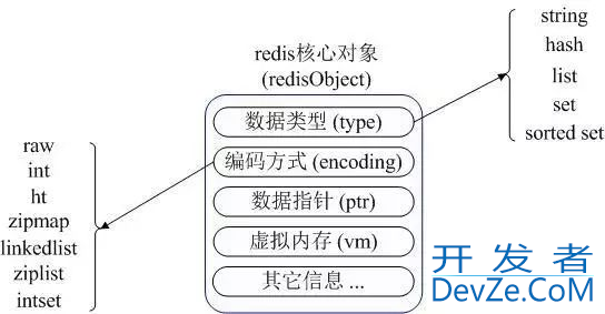 Redis的9种数据类型用法解读