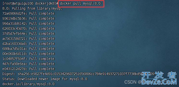 Docker安装MySQL8.0的详细步骤(附图文!)