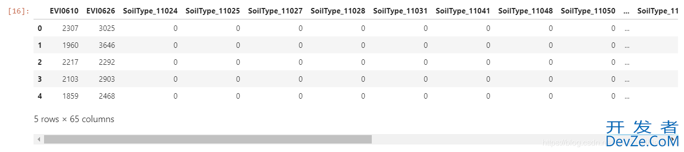 Python实现类别变量的独热编码