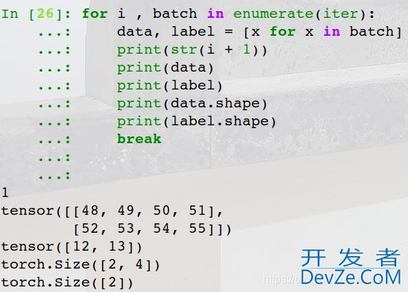 Pytorch:dtype不一致问题(expected dtype Double but got dtype Float)