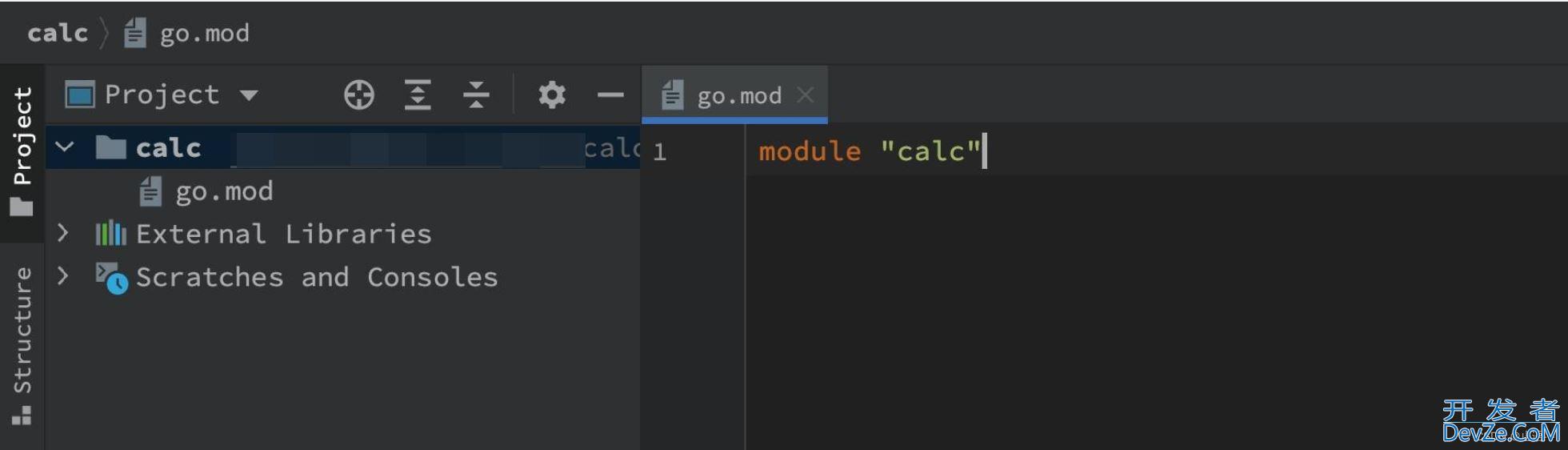 go module构建项目的实现