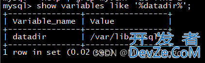 Docker如何挂载mysql