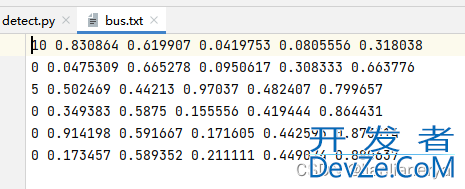 YOLOv5以txt或json格式输出预测结果的方法详解