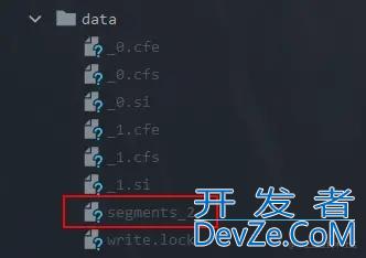 Lucene 索引删除策略源码解析