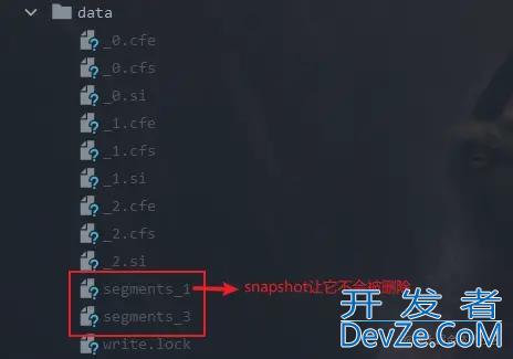 Lucene 索引删除策略源码解析