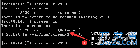 Linux screen命令使用示例