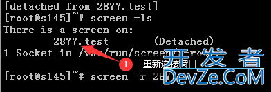Linux screen命令使用示例