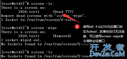 Linux screen命令使用示例