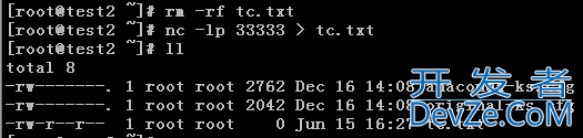 Linux nc命令使用示例