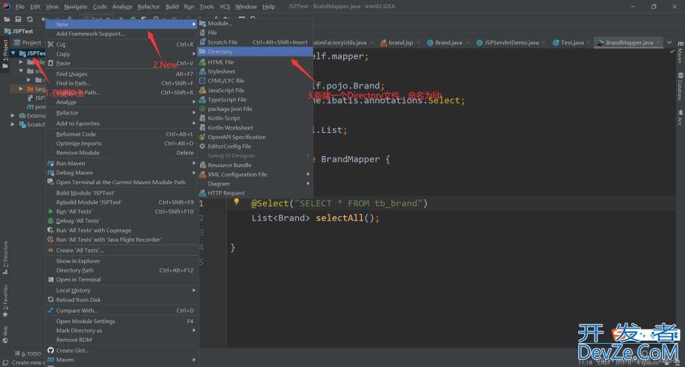 java:程序包org.apache.ibatis.annotations不存在报错解决