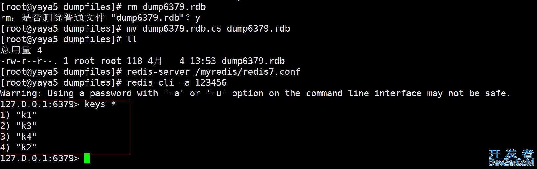 redis中RDB(Redis Data Base)的机制