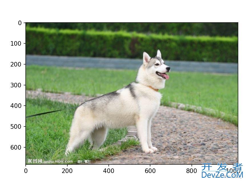 pytorch transforms图像增强实现方法