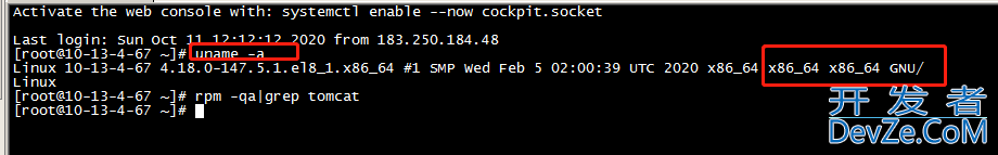 Linux系统中Tomcat环境配置方式