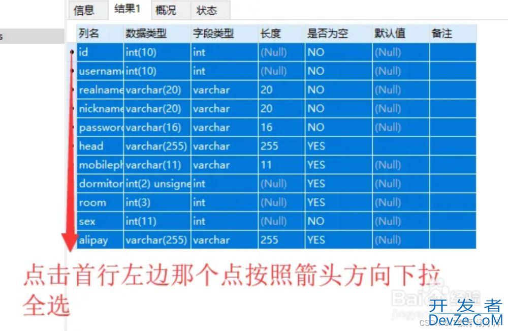 手把手教你Navicat如何导出Excel格式的表结构