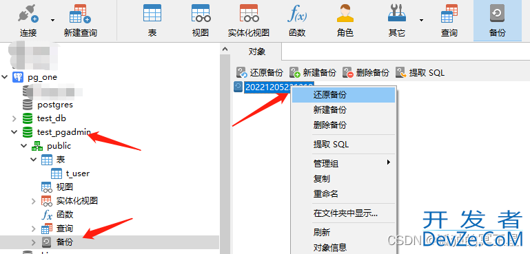 postgresql数据库导出和导入及常用的数据库管理工具